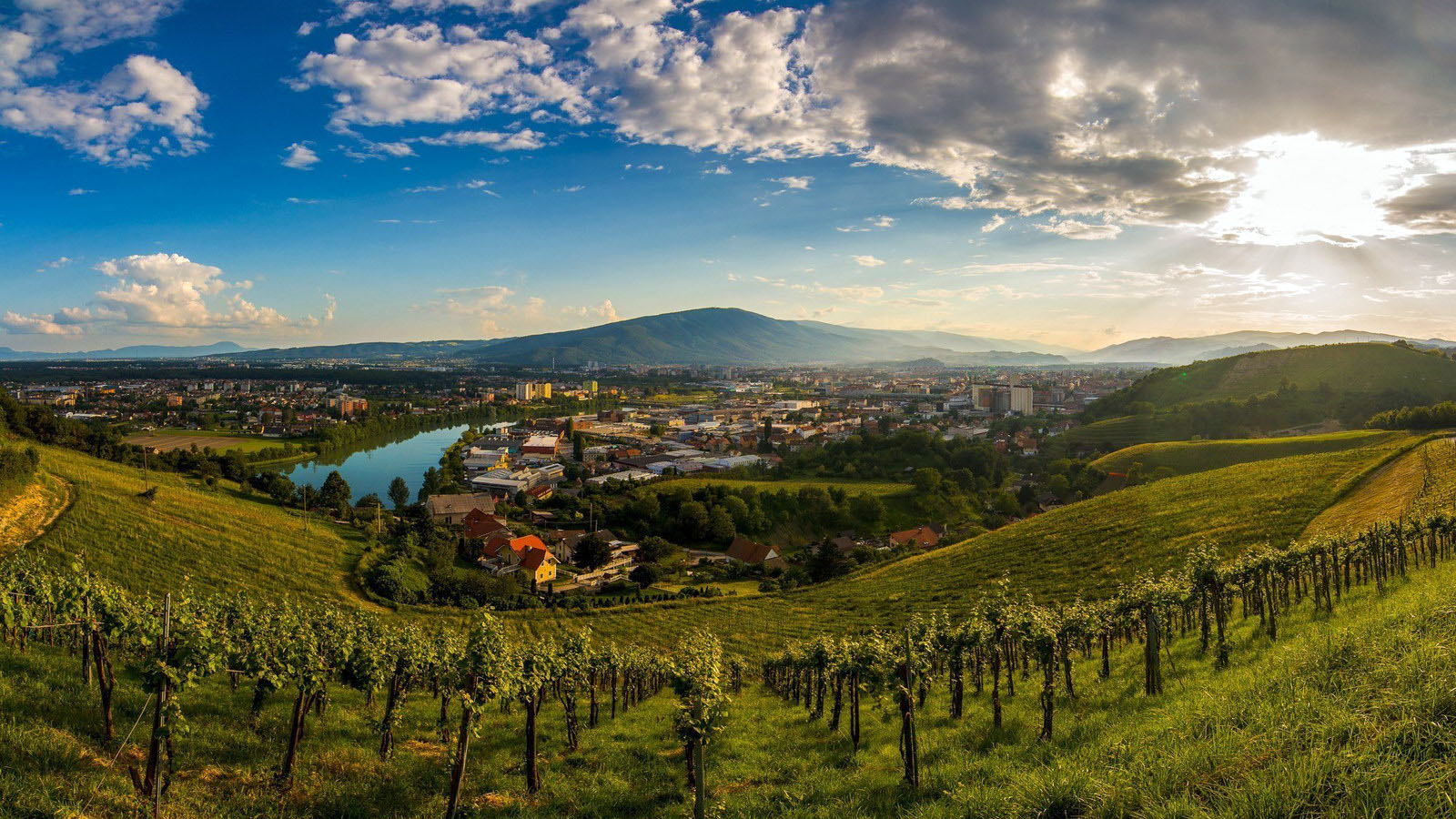 Planinski izlet Mariborski griči Planinski izlet Mariborski griči