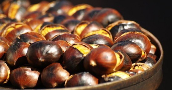 Kostanjev piknik 2018 Kostanjev piknik 2018