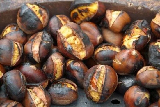 Druženje ob peki kostanjev Druženje ob peki kostanjev